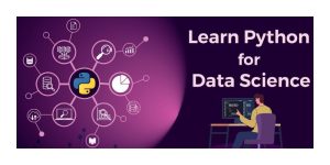 What Python Built-in Functions You Should Understand When Studying Data Science